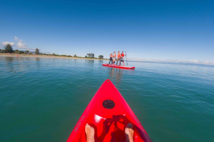 Rent a single kayak from Paddle Nelson and enjoy your own self guided paddle adventure in the Nelson Haven