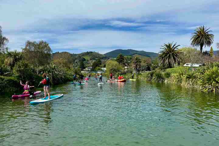 Paddleboarding and kayak hire on the river maitai in nelson