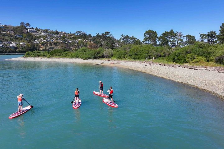 Paddle to Haulashore Island on a sup rental from Tahunanui Beach in Nelson