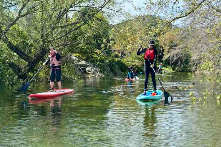 Group hire of paddle boards and kayaks on the river maitai in nelson, new zealand