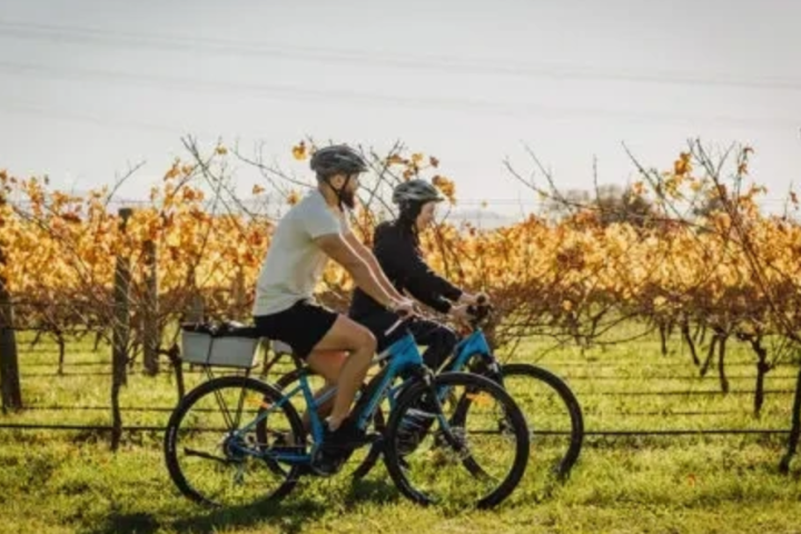 Hire a bicycle at Tahunanui beach for the day