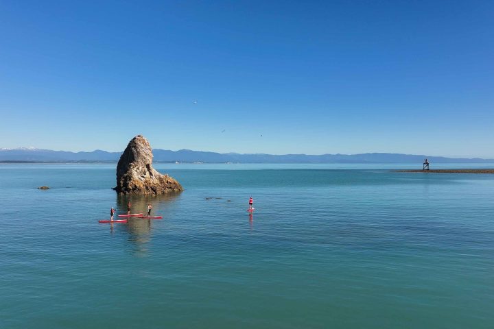 Paddleboard hire for our self guided paddle and pedal adventure in Nelson