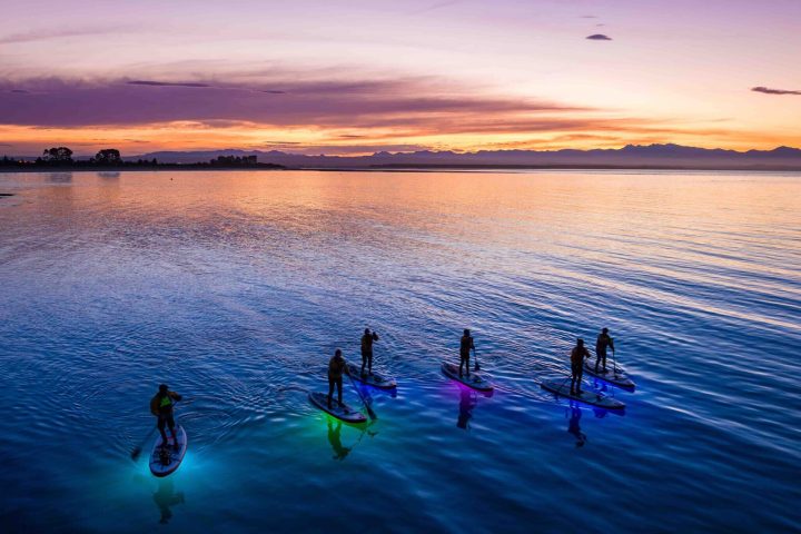 paddleboarding on a tour at Tahunanui beach at night