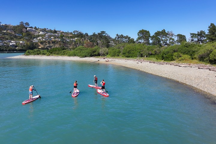 a group of people riding skis on a body of water