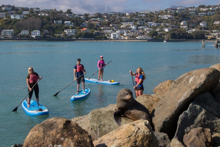 a group of people sitting on a rock next to water